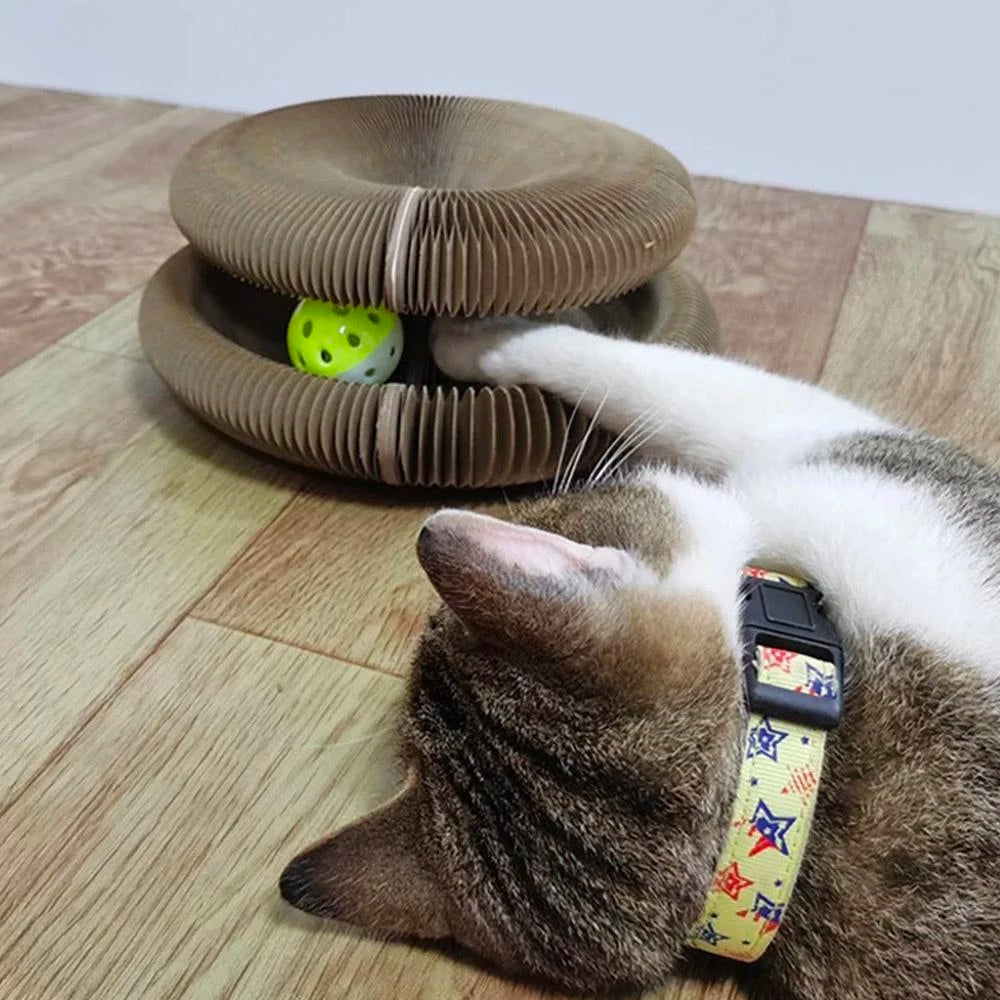 The Viral Cat Toy